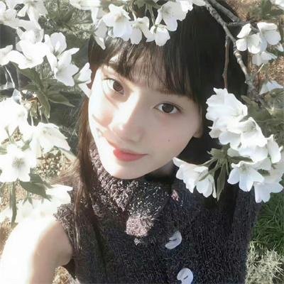 小西天狄道传奇